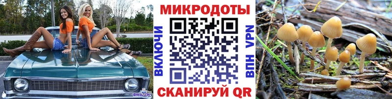 Псилоцибиновые грибы GOLDEN TEACHER  Ершов 